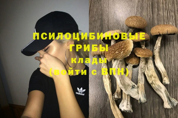 ECSTASY Вязьма