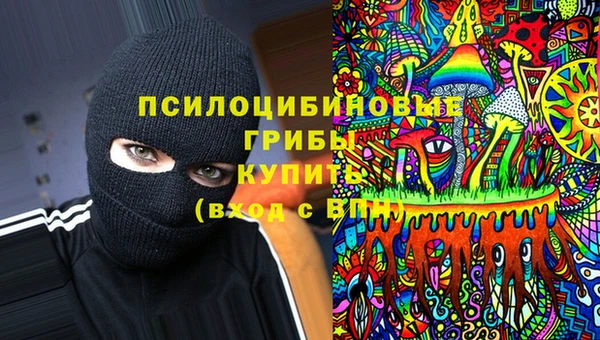 шишки Вязники