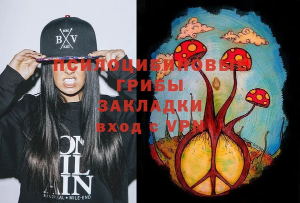 ECSTASY Вязьма
